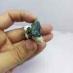 Natural Black Tourmaline Specimen 220.60ct Pakistan Crystal Matrix - Image 13